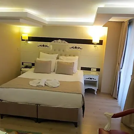Comfort Elite Old 3*